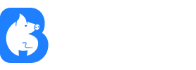 倍加网配资